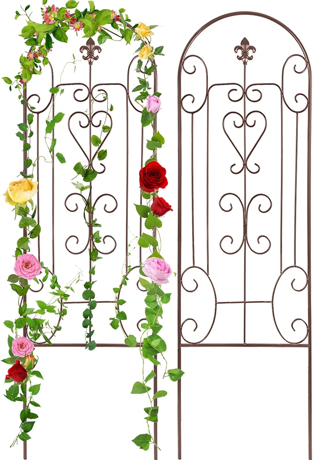 Climbing Plants Garden Trellis Set