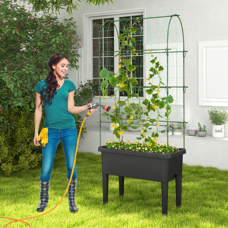 Self-Watering Raised Garden Bed