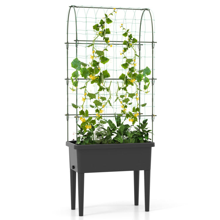 Self-Watering Raised Garden Bed